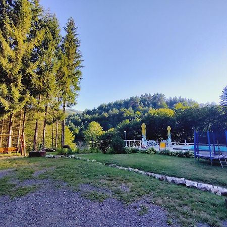 Cabana Cerbu Otel Bozovici Dış mekan fotoğraf