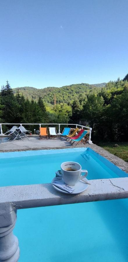 Cabana Cerbu Otel Bozovici Dış mekan fotoğraf