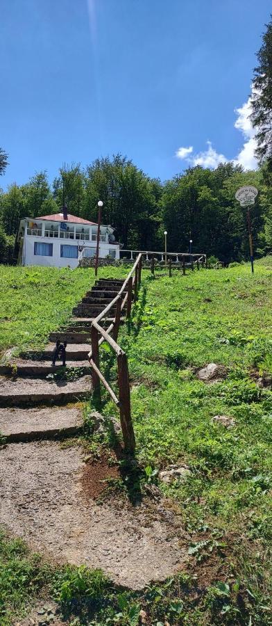 Cabana Cerbu Otel Bozovici Dış mekan fotoğraf