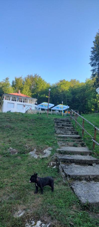 Cabana Cerbu Bozovici Dış mekan fotoğraf