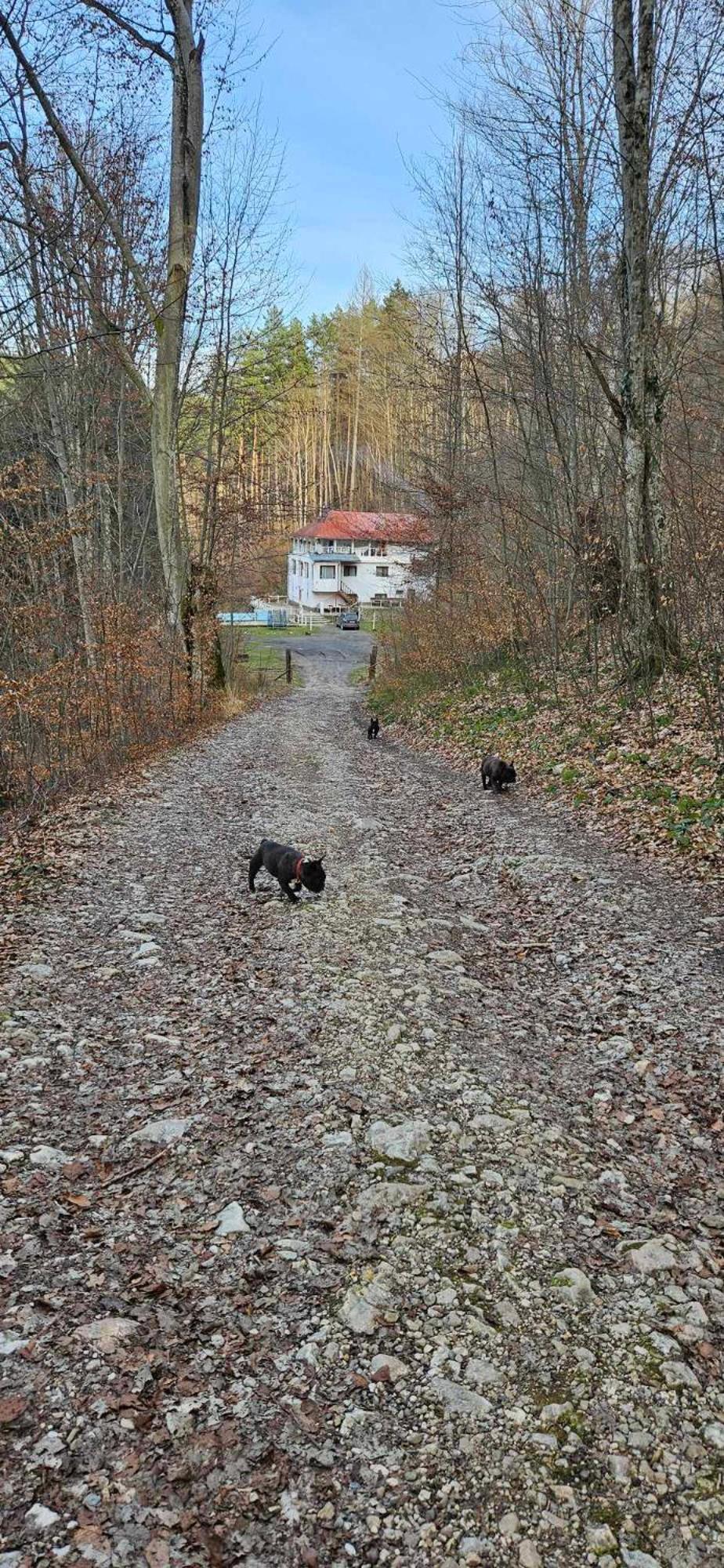 Cabana Cerbu Otel Bozovici Dış mekan fotoğraf